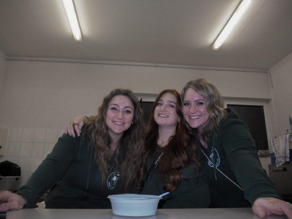 4. Nacht der Hexen 2026 | Ulmer Hopfe Hexe e. V.